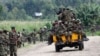 Des combattants du M23 près de la ville de Sake, à 42 km à l'ouest de Goma, dans l'est du Congo, le 30 novembre 2012. 