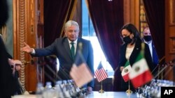 美国副总统哈里斯和墨西哥总统洛佩斯·奥布拉多在墨西哥城的总统官邸国家宫举行双边会晤。（2021年6月8日）