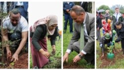 ኢትዮጵያዊያን ኣብ ሓደ መዓልቲ 200 ሚሊዮን ፈልስታት ብምትካል ክብረ ወሰብ ዓለም ሰይሮም